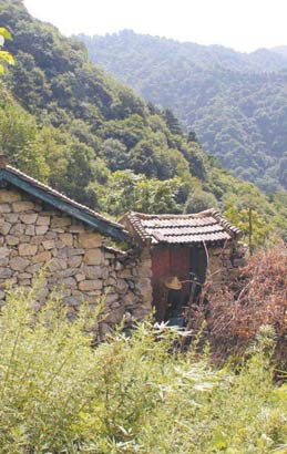 「终南山」终南山成为隐修胜地 山中随意搭茅蓬无人干涉