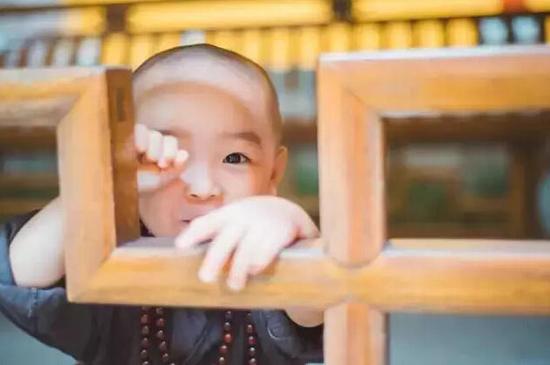 「灵隐寺」灵隐寺两岁“小和尚”萌爆网络