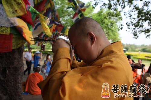 「释迦牟尼」印顺法师带领弘法寺义工、朝圣团在蓝毗尼花园举行诵经祈福法会