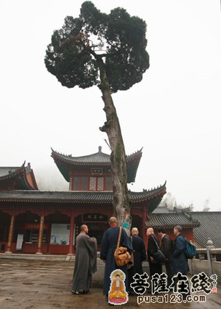 「曹洞宗」日本曹洞宗访问团一行参访湖北黄梅四祖寺、五祖寺