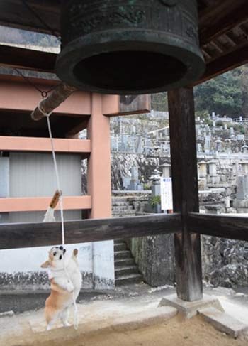 寺院