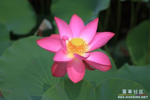 「释迦牟尼」佛陀眼中的美女是这样的