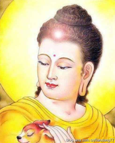 「释迦牟尼」一个小动作，往往就可能影响人的一生