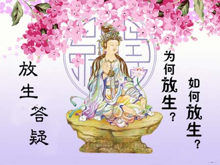 「佛教」放生的时候，怎么做更有意义呢？
