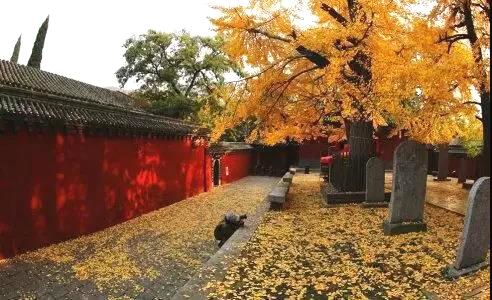 「佛教」佛教启示：是被子暖人，还是人暖被子？