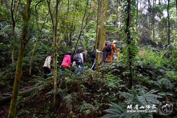 「峨眉山」（3.17）四川峨眉山行愿慈善行日期安排预告