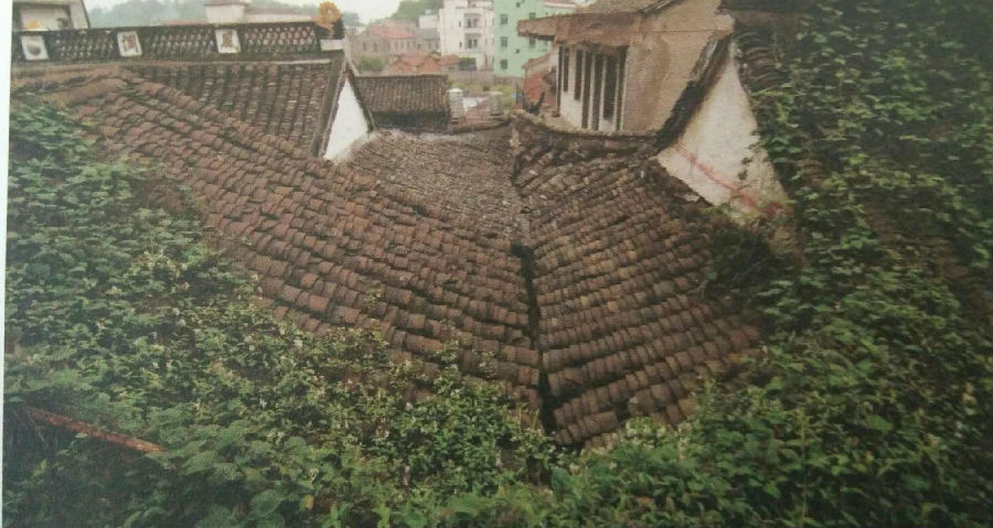 「佛教」明智：诸暨市石岭禅寺简介