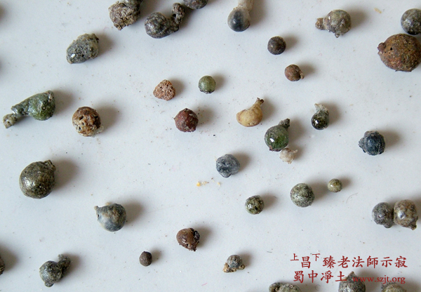 「昌臻法师」昌臻老法师示寂舍利照片 「昌臻法师」昌臻老法师示寂舍利照片