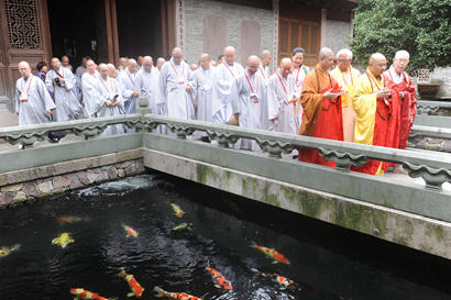 「佛教」中韩日佛教友好交流会议代表团莅临七塔禅寺参访