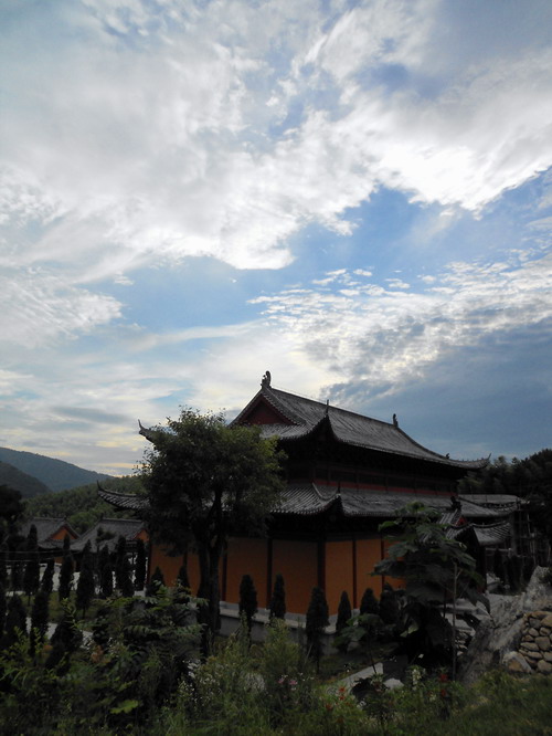 「鬼灯水月」水月清梅：法眼云霞无限美，禅修日日无终期