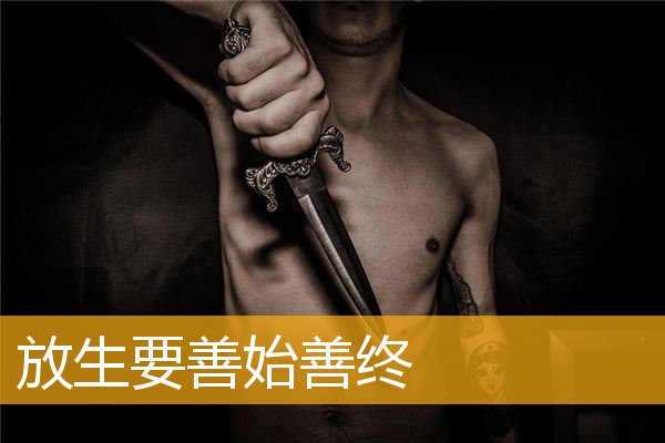 「放生功德」放生要善始善终