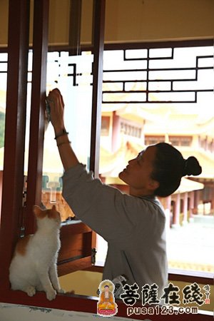 「八关斋戒」广东深圳弘法寺第二十期八关斋戒圆满举行