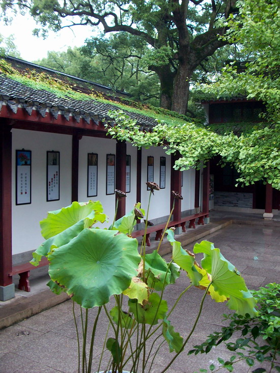 「鬼灯水月」水月清梅：香林净苑僧止静，双泉庵内犬迎宾