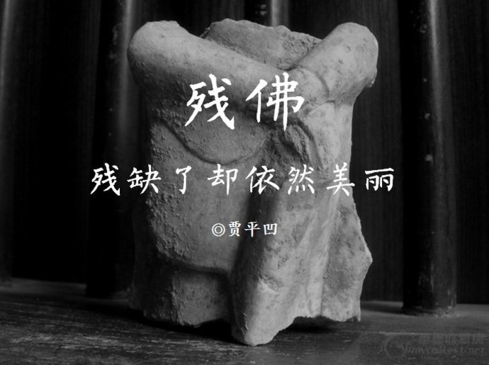 贾平凹：有佛亲近 以后我不会怯弱也不再逃避