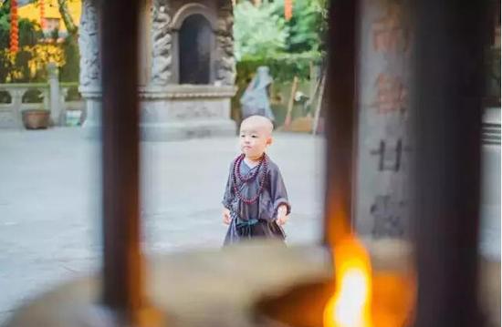 「灵隐寺」灵隐寺两岁“小和尚”萌爆网络