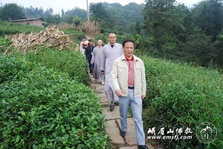 「佛教」重阳节践行慈悲行愿 峨眉山佛协慰问五保户老人
