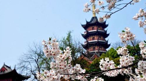 「鸡鸣寺」南京鸡鸣寺2017年法务活动安排