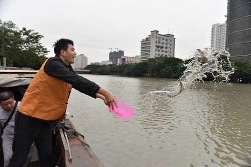 「放生仪轨」浙江温州妙果寺举行放生和传授三皈依五戒法会 「放生仪轨」浙江温州妙果寺举行放生和传授三皈依五戒法会