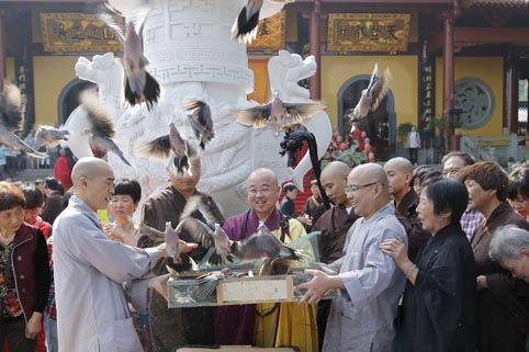 「放生仪轨」浙江绍兴炉峰禅寺隆重举行重阳节放生法会