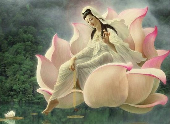 「佛教」送给命运不好的人