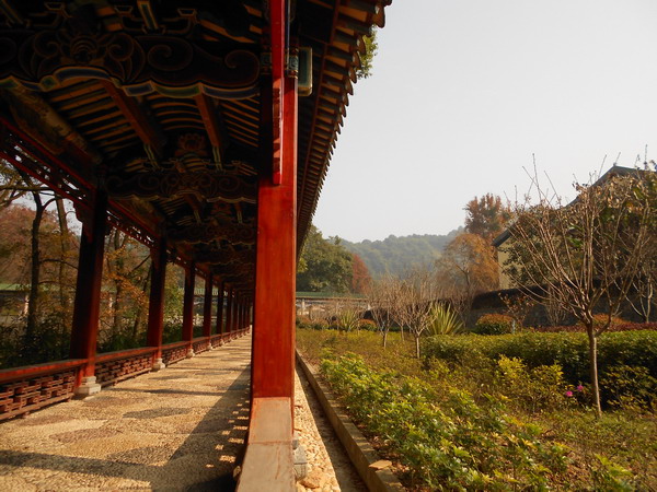 「南华寺」水月清梅：曹溪南华寺撷影