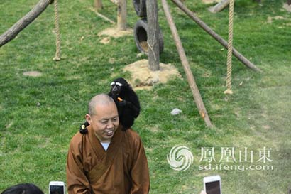 「动物」佛教界“网红”延参法师来济南做饲养员啦！