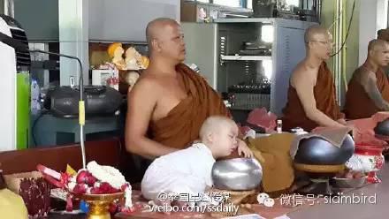 「佛教」火爆全球的泰国最萌两岁半小和尚