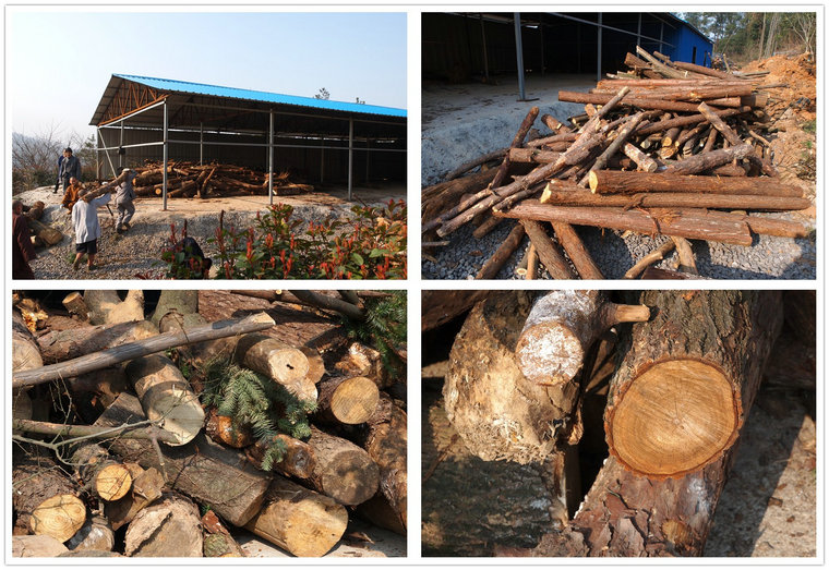 「佛教」江西九江东林寺僧众集体出坡劳作 合力兴丛林 「佛教」江西九江东林寺僧众集体出坡劳作 合力兴丛林