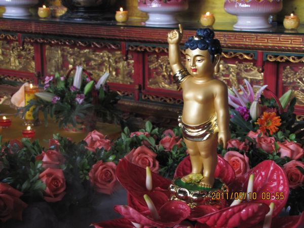 「佛教」广东四会六祖寺隆重举行浴佛节法会