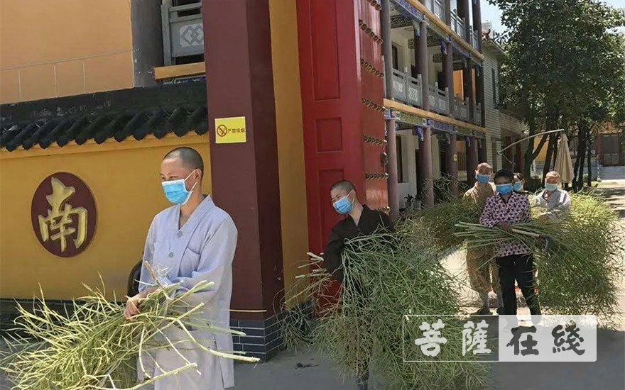 「佛教」抢抓农时,自力更生,湖北各寺掀起春耕生产热潮 「佛教」抢抓农时,自力更生,湖北各寺掀起春耕生产热潮