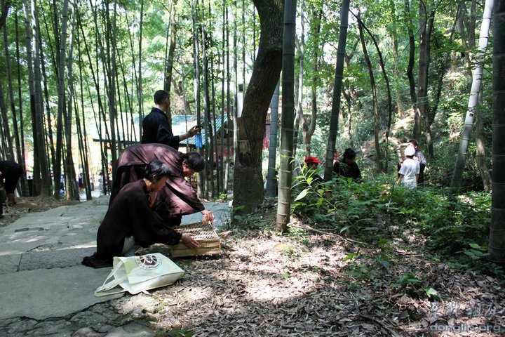 「佛教」弘法人才培训班结业,东林护生会组织放生 「佛教」弘法人才培训班结业,东林护生会组织放生
