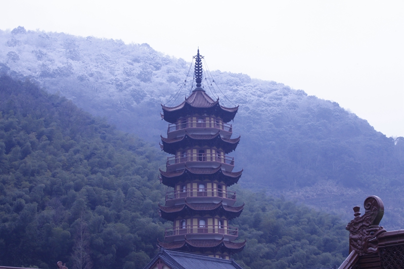 「慧日禅寺」“慧心勤觉悟，熙日耀中天”—慧日禅寺小年祭灶神慈悲无遮甘露施食超荐法会