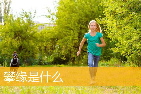 「文化」攀缘是什么
