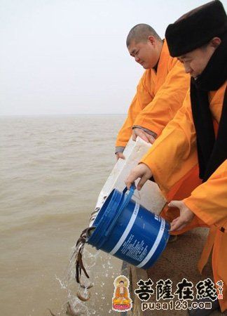 「佛教」河南焦作圆融无碍古寺隆重举行放生祈福法会