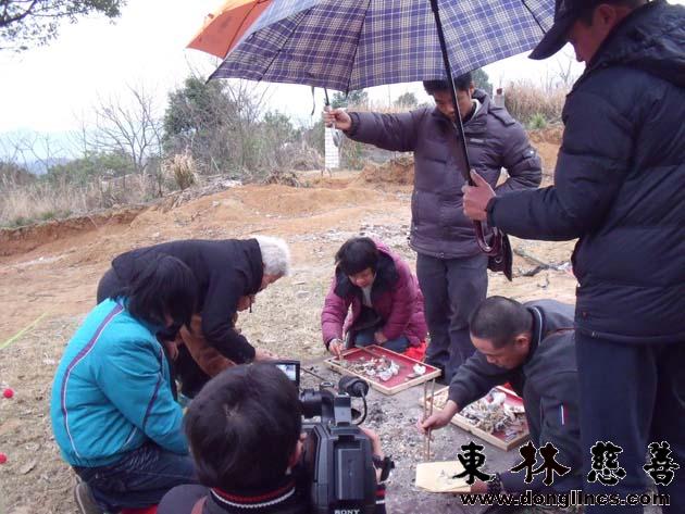 「武强」东林慈善安养院的第二十七朵莲花