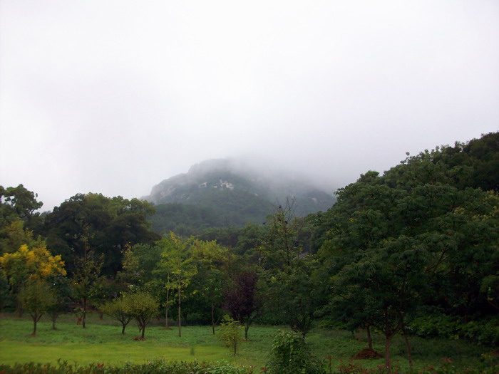 「法雨寺」法雨寺和梵音洞撷影