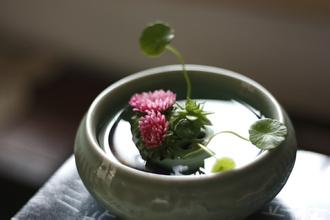 「佛教」性如灰