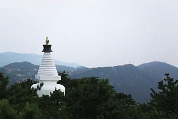 「佛教」第六届清凉庐山自在禅修营报名启事