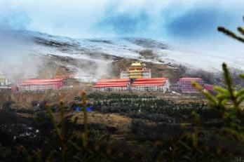 「雅安」佛子同悲 全国各地寺院为雅安灾区祈福