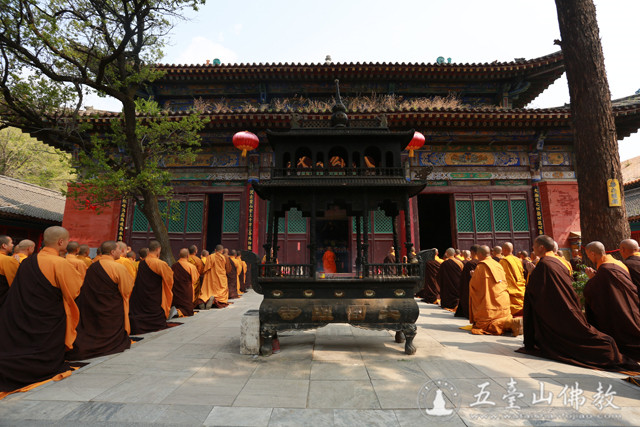 「佛教」2016年山西五台山圆照寺传授三坛大戒圆满结束 「佛教」2016年山西五台山圆照寺传授三坛大戒圆满结束