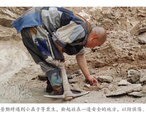 「大悲寺」图文回溯辽宁海城大悲寺之建设、发展历程