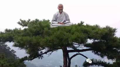 「九华山」九华山高僧在松树顶上凌空打坐 网友惊叹(图)