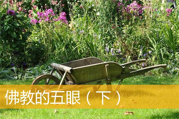 「佛教」佛教的五眼(下) 「佛教」佛教的五眼(下)