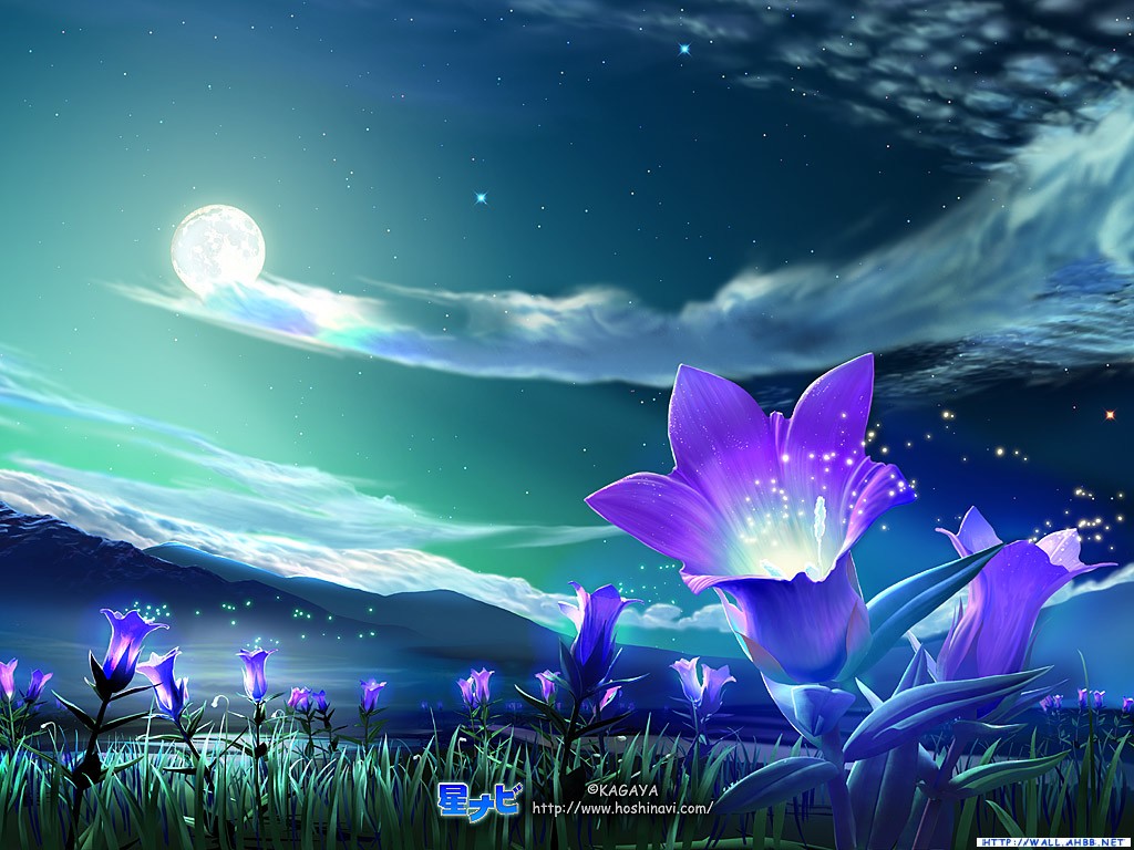 「佛教」地儿：蓝莲花