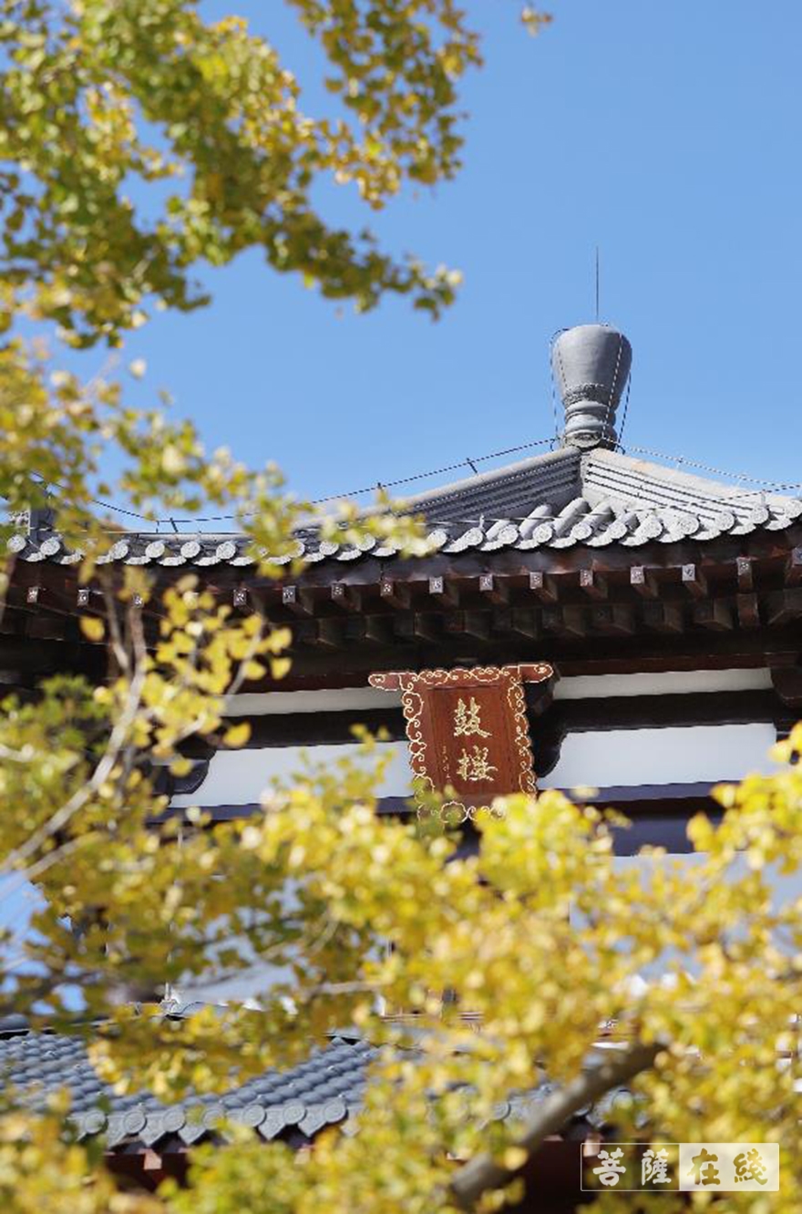「佛教」蓁山观音寺荣获“2021年首届醉美景区攻略评选”第一名 「佛教」蓁山观音寺荣获“2021年首届醉美景区攻略评选”第一名