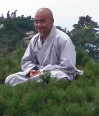 「九华山」九华山高僧在松树顶上凌空打坐 网友惊叹(图)