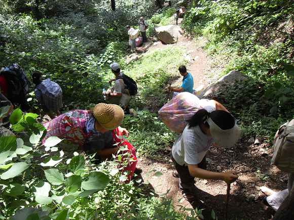 「终南山」终南山护僧随感