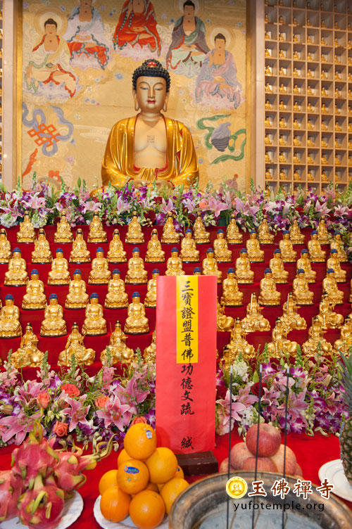 「观音」上海玉佛禅寺隆重举行“观世音菩萨圣诞纪念暨万佛堂佛像开光法会”
