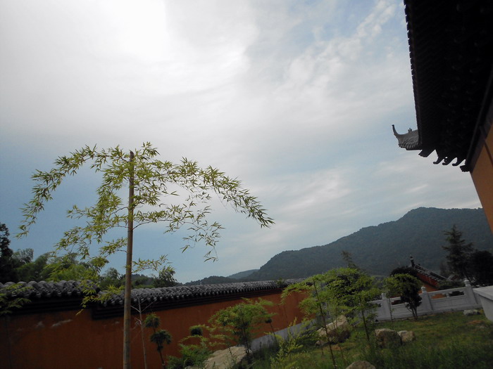 「鬼灯水月」水月清梅：法眼云霞无限美，禅修日日无终期