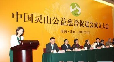 「慈善」中国灵山公益慈善促进会成立 努力实现“四个平台”功能